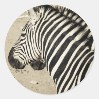 Zebra Ronde Sticker
