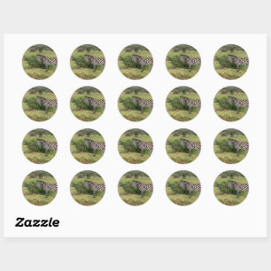 Zebra Ronde Sticker