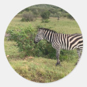 Zebra Ronde Sticker (Voorkant)