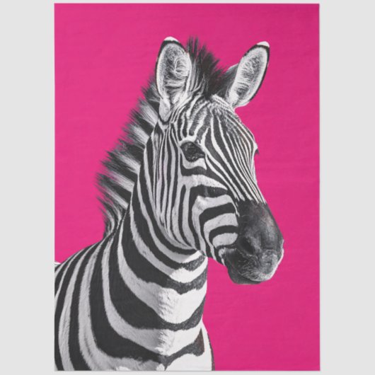 Zebra Roze Knipkunst Tissuepapier (Voorkant)