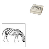 Zebra rubber stempel (Gestempeld)