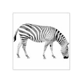 Zebra rubber stempel (Afrduk)
