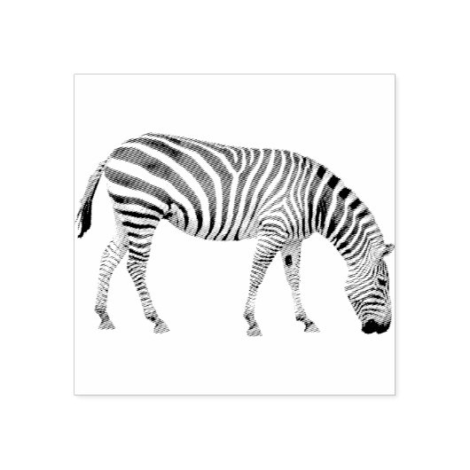 Zebra rubber stempel (Afrduk)