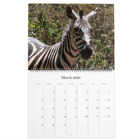 zebra safari 2025 groot kalender (Mar 2026)