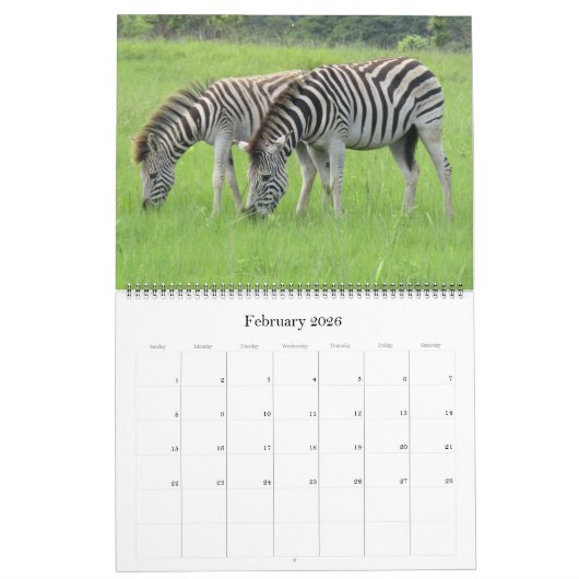 zebra safari 2025 groot kalender (Feb 2026)