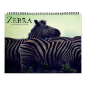 zebra safari 2025 groot kalender (Hoes)