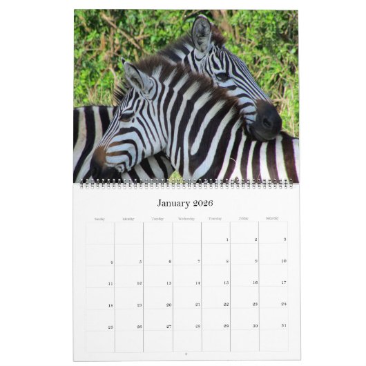 zebra safari 2025 groot kalender (Jan 2026)