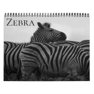 zebra safari 2025 kalender