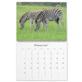 zebra safari 2026 groot formaat kalender (Feb 2027)
