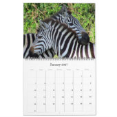 zebra safari 2026 groot formaat kalender (Jan 2027)