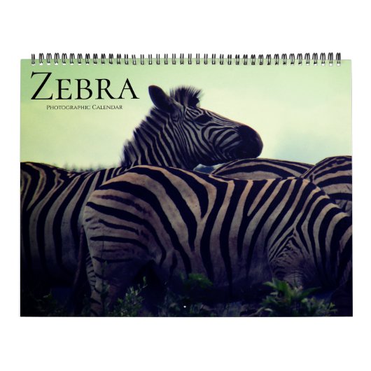 zebra safari 2026 groot formaat kalender (Hoes)