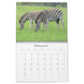 zebra safari 2026 kalender (Feb 2027)