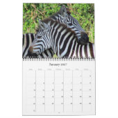 zebra safari 2026 kalender (Jan 2027)