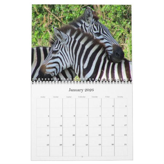 zebra Safari 2026 Kalender (Jan 2026)