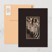 Zebra safari-briefkaarten briefkaart (Voorkant / Achterkant)