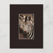Zebra safari-briefkaarten briefkaart (Voorkant)