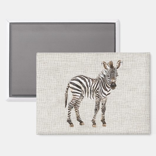 Zebra Safari Dier Magneet (Voorkant / Achterkant)