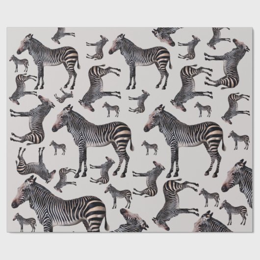 Zebra Safari  Illustratie Cadeaupapier (Vlak)