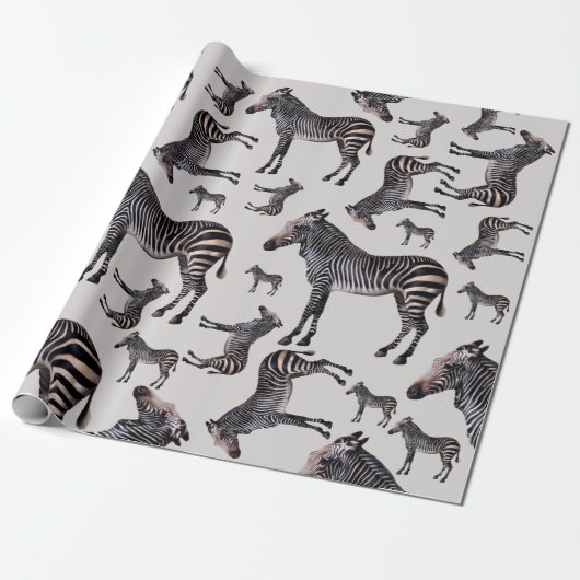 Zebra Safari  Illustratie Cadeaupapier (Uitgerold)