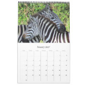 zebra safari kalender (Jan 2027)
