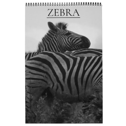 zebra safari kalender (Hoes)