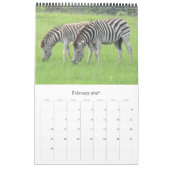 zebra safari kalender (Feb 2027)