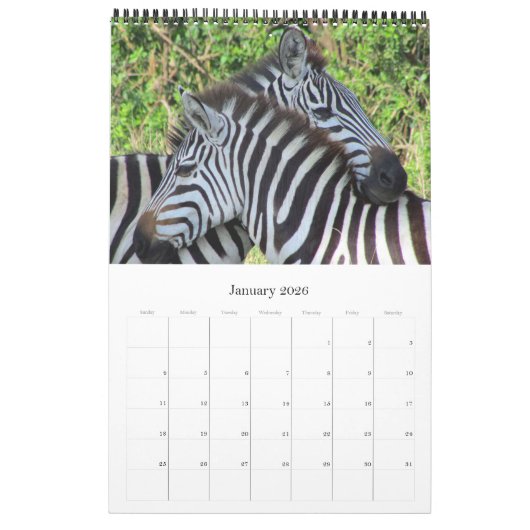 zebra safari kalender (Jan 2026)