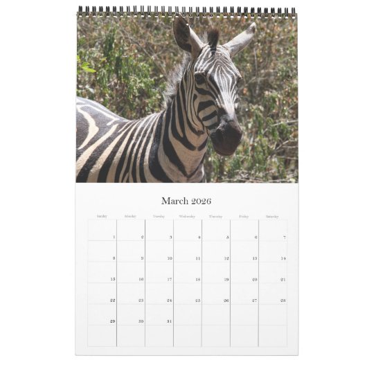 zebra safari kalender (Mar 2026)