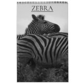 zebra safari kalender (Hoes)