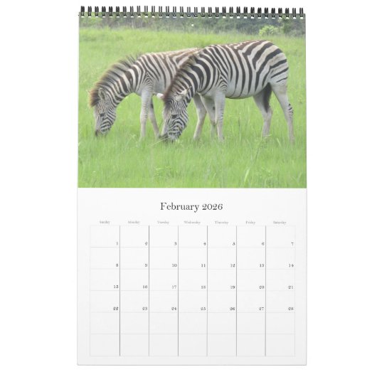 zebra safari kalender (Feb 2026)
