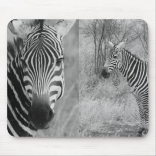 Zebra Safari Schattige Afrikaanse Klasse Strepen Muismat