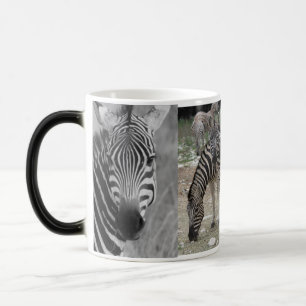 Zebra Safari Schattige Afrikaanse Strepen Magische Mok
