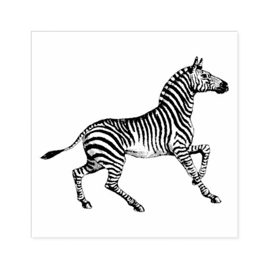 Zebra  safaridier rubberstempel (Afrduk)