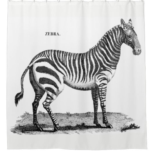 Zebra-schoengordijn Douchegordijn (Voorkant)