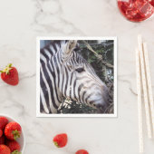 Zebra Servet (Insitu)