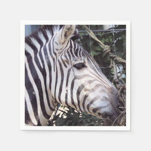 Zebra Servet (Voorkant)