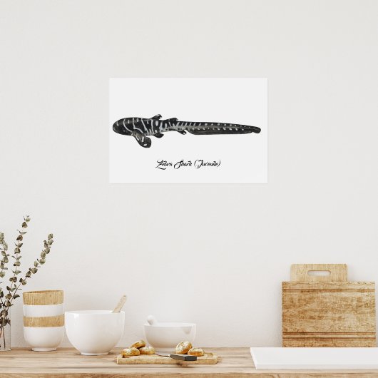 Zebra Shark (juveniel) Poster (Keuken)