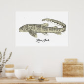 Zebra Shark Poster (Keuken)