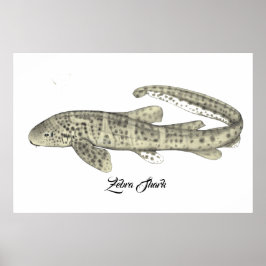 Zebra Shark Poster