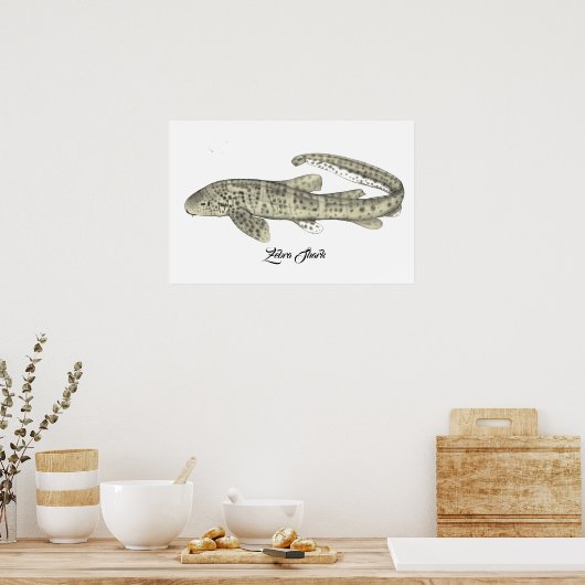 Zebra Shark Small Poster (Keuken)