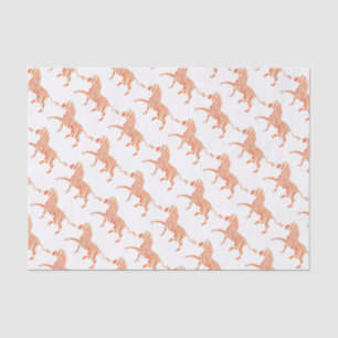 Zebra Sinaasappel en wit Silhouette Tissuepapier