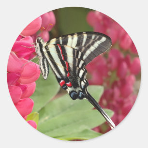 zebra-slippel ronde sticker