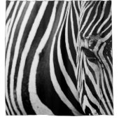 ZEBRA SLUITING UITZICHT DOUCHEGORDIJN (Voorkant)