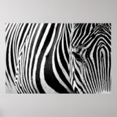 ZEBRA SLUITING UITZICHT POSTER (Voorkant)