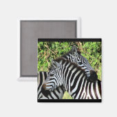 zebra-smokkel magneet (Voorkant / Achterkant)