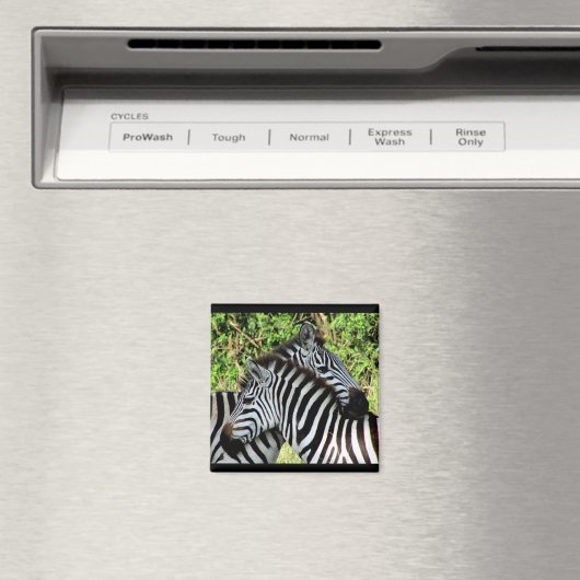 zebra-smokkel magneet (Insitu (Vaatwasser))