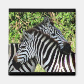 zebra-smokkel magneet (Voorkant)