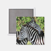 zebra-snuggle magneet (Voorkant / Achterkant)