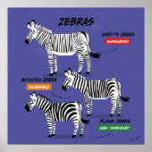 Zebra Soort Art Poster v2 (Voorkant)
