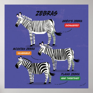 Zebra Soort Art Poster v2